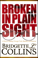 Buy Broken in Plain Sight at Amazon.com