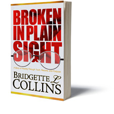 Broken in Plain Sight - Coming 2012!